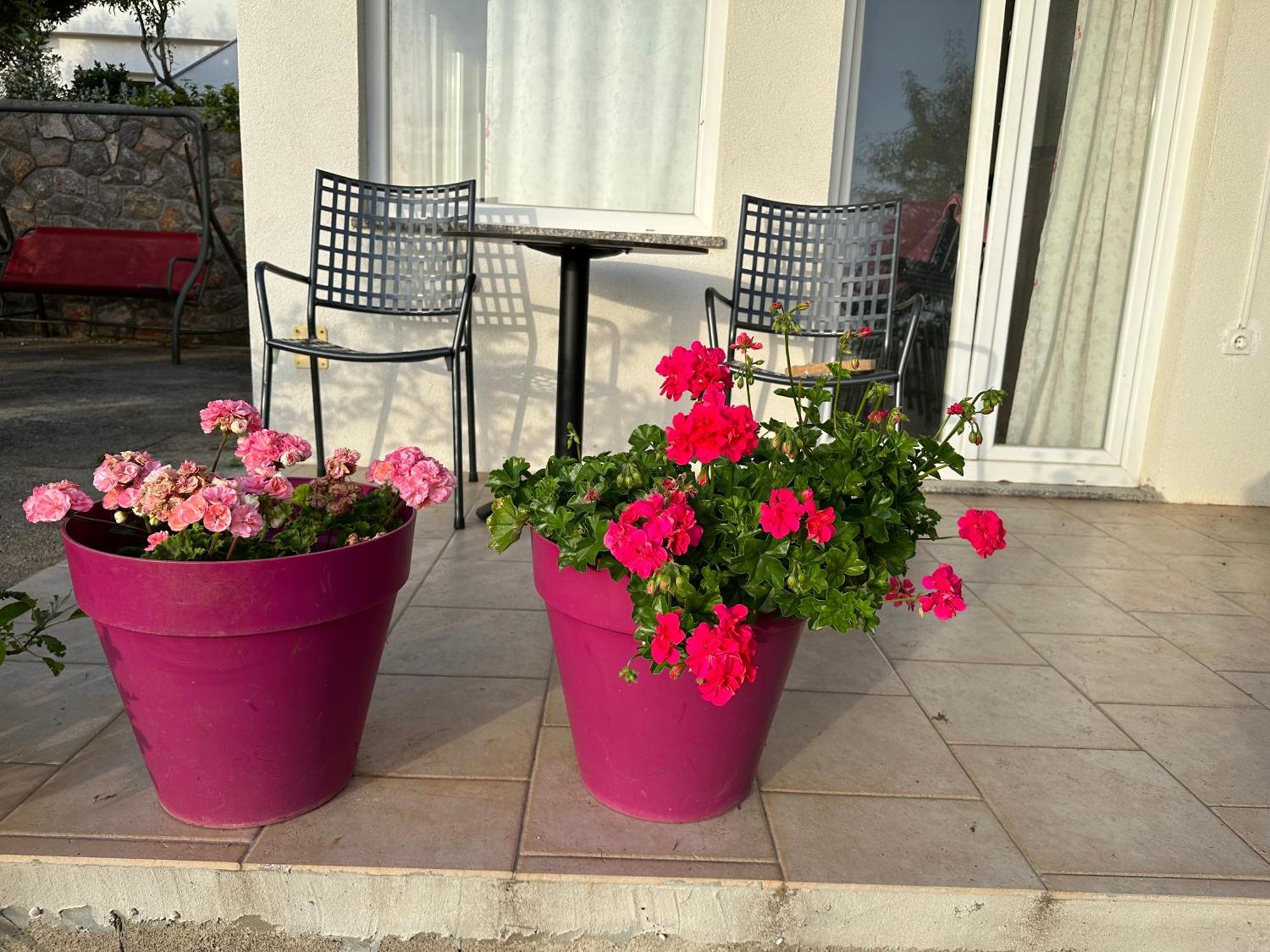Villa Beba - Apartments Senj  Exterior photo